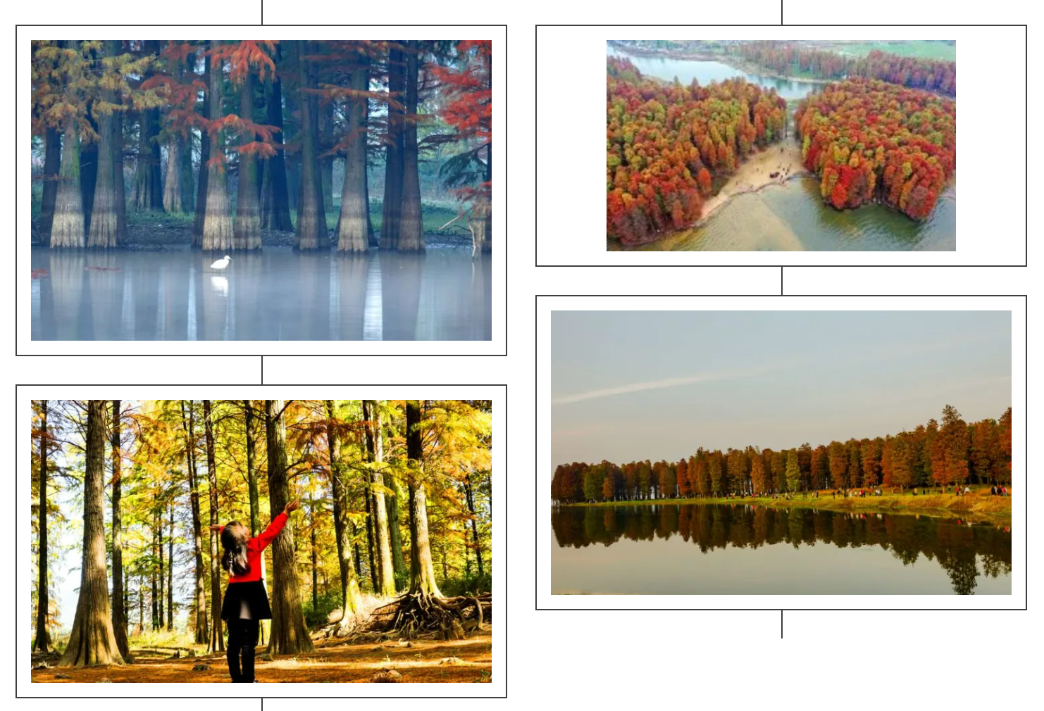 efbb5366bea9f17b96dcd3a6b6c49cc9 efbb5366bea9f17b96dcd3a6b6c49cc9