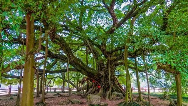 efebea8f39f1abdfc49cf46036e92d4e-sz_649729 efebea8f39f1abdfc49cf46036e92d4e-sz_649729