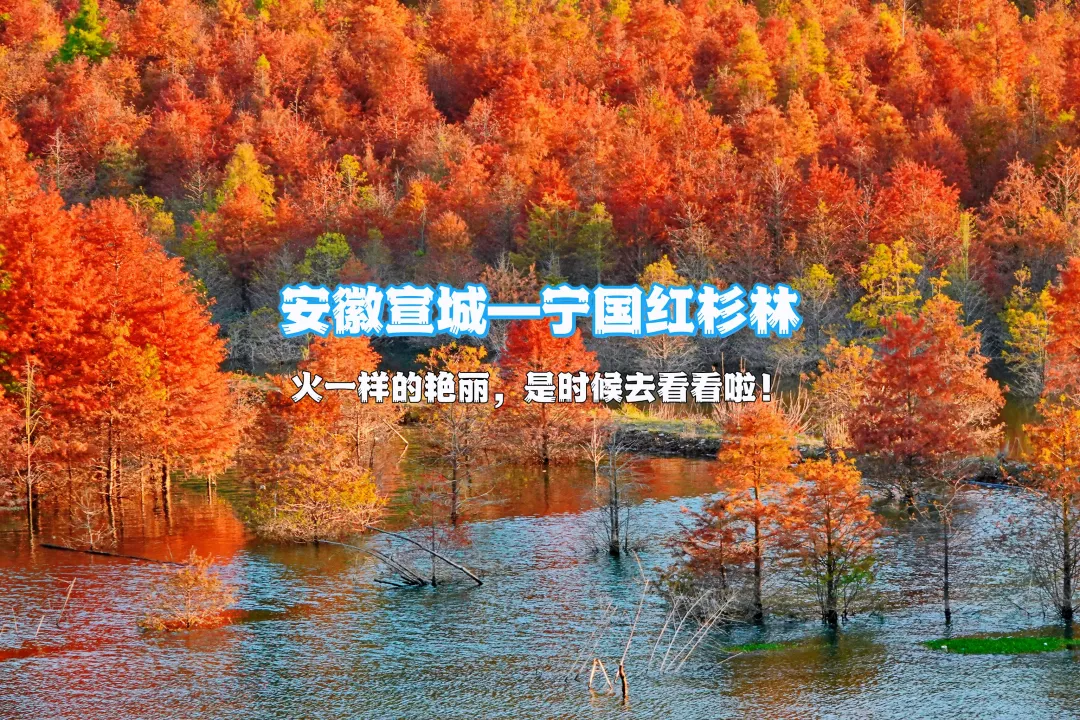 eff8f33d98f384678e89bd08a127a3c4-sz_2339883-1 eff8f33d98f384678e89bd08a127a3c4-sz_2339883-1