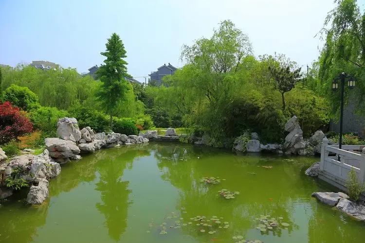 f03ffa7d534091ecbfb0ba503aef9a0a-sz_587387