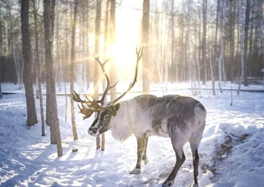 f11e5234ffcf4ddd9dc5d392b5378538-sz_2794513