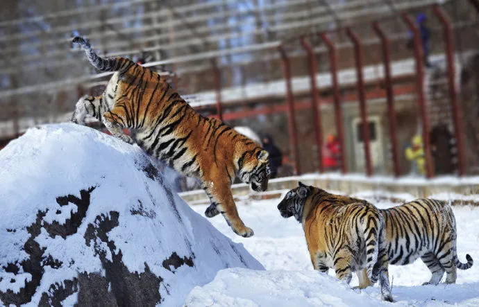 f1464875e1583e844974d38bfaf21f2b-sz_79498 f1464875e1583e844974d38bfaf21f2b-sz_79498