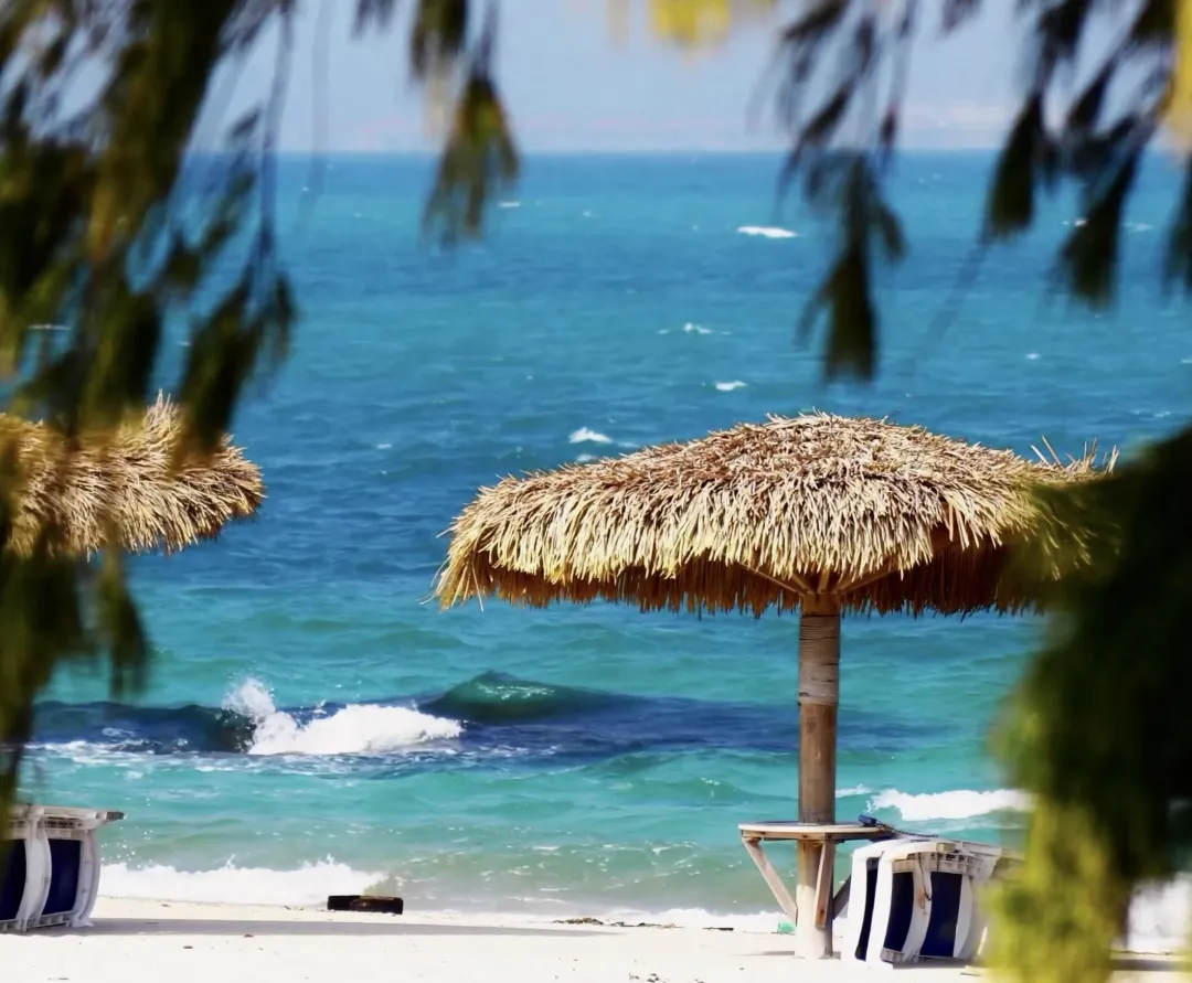 f1597bcf76fc659c2c8bab4b6707aa62-sz_1401585 f1597bcf76fc659c2c8bab4b6707aa62-sz_1401585