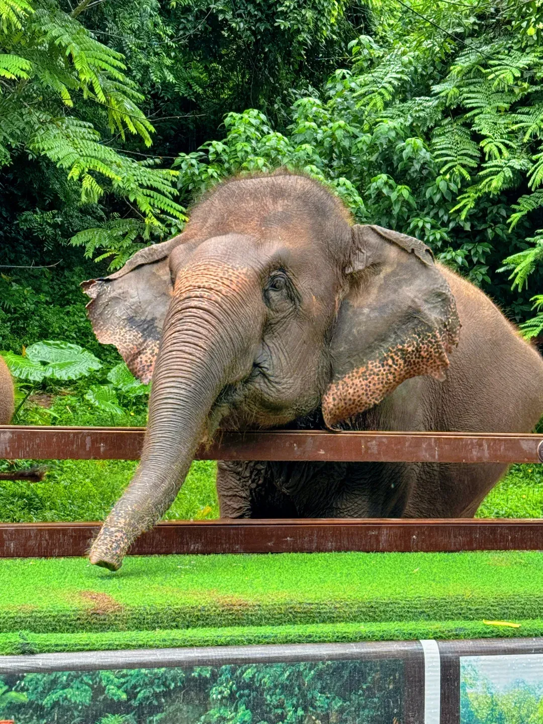 f15e047ed28f23294139dae29ef4bef0-sz_4447363-1