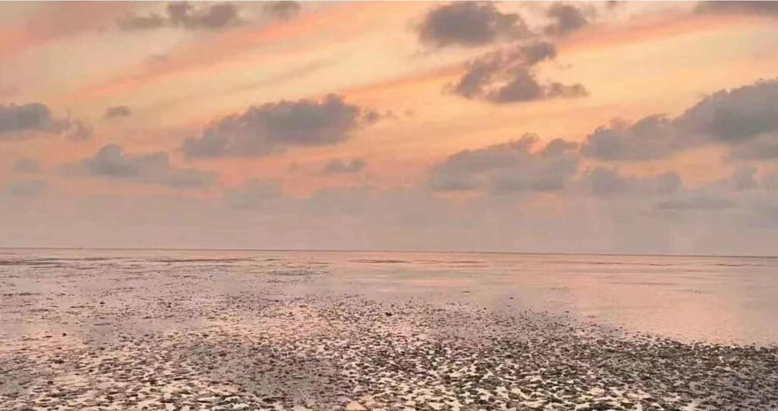 f1670a755470e356abd2a7568e6a954b