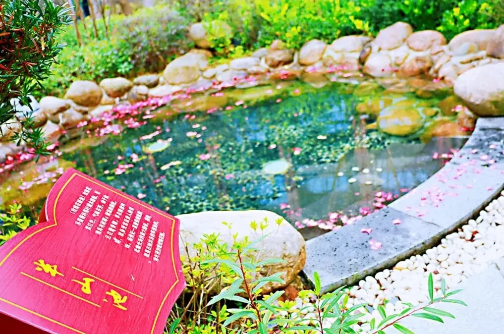 f239664cf89f51c19f3f9b4a82c24b2b-sz_178502 f239664cf89f51c19f3f9b4a82c24b2b-sz_178502