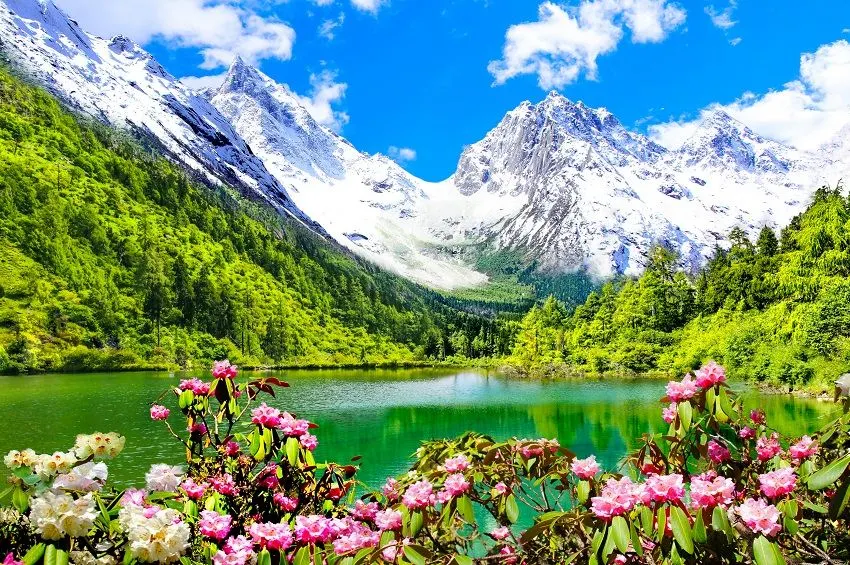 f2b71291ddcf34149cdd630df3b623d2-sz_196117 f2b71291ddcf34149cdd630df3b623d2-sz_196117