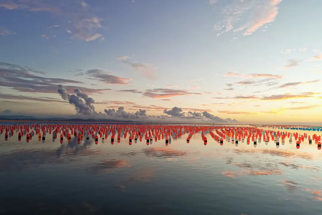 f30e3c92417a710e03d3da732df134e2-sz_2191968-1 f30e3c92417a710e03d3da732df134e2-sz_2191968-1