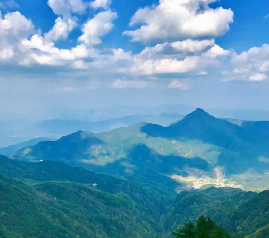 f33047fd000653d5d793b0cac9b8423c-sz_253877 f33047fd000653d5d793b0cac9b8423c-sz_253877