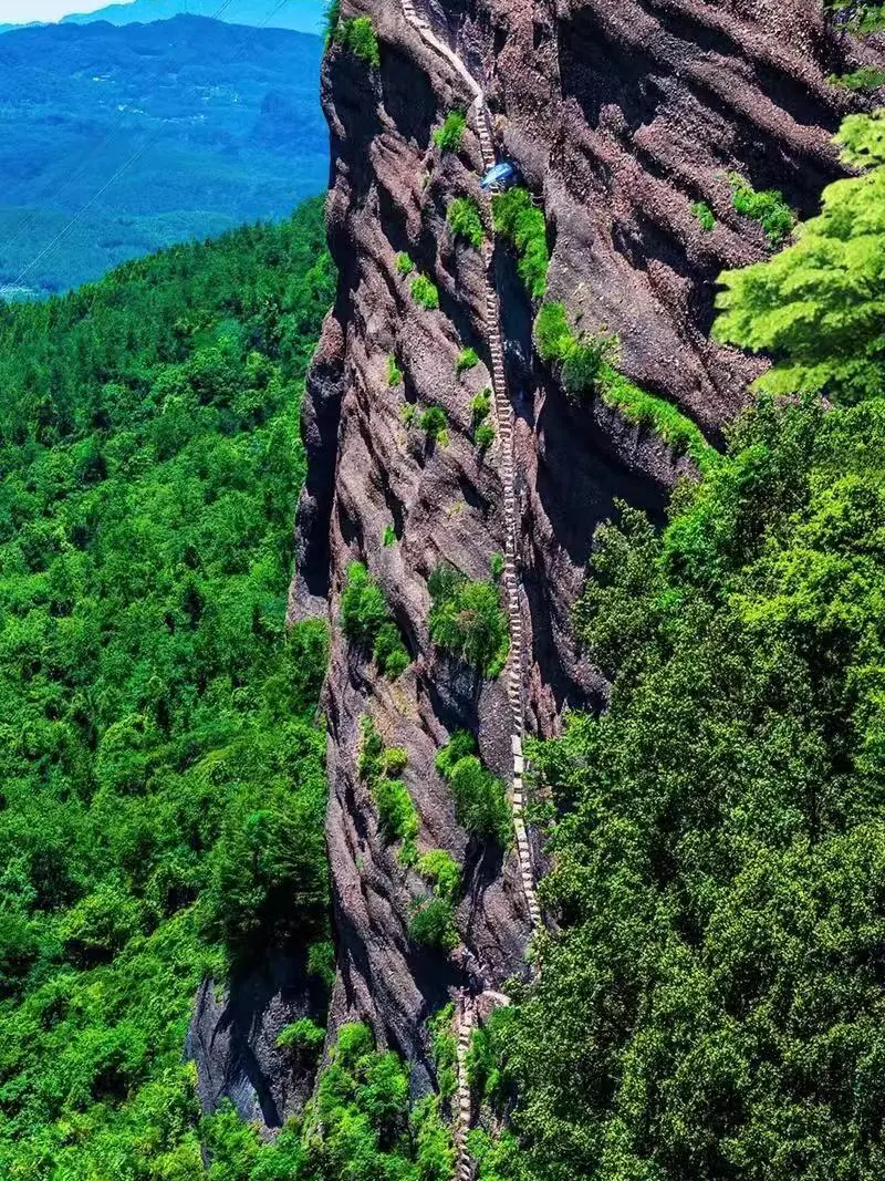 f33888f475b1d25533bcfe7edf899fff-sz_396532 f33888f475b1d25533bcfe7edf899fff-sz_396532