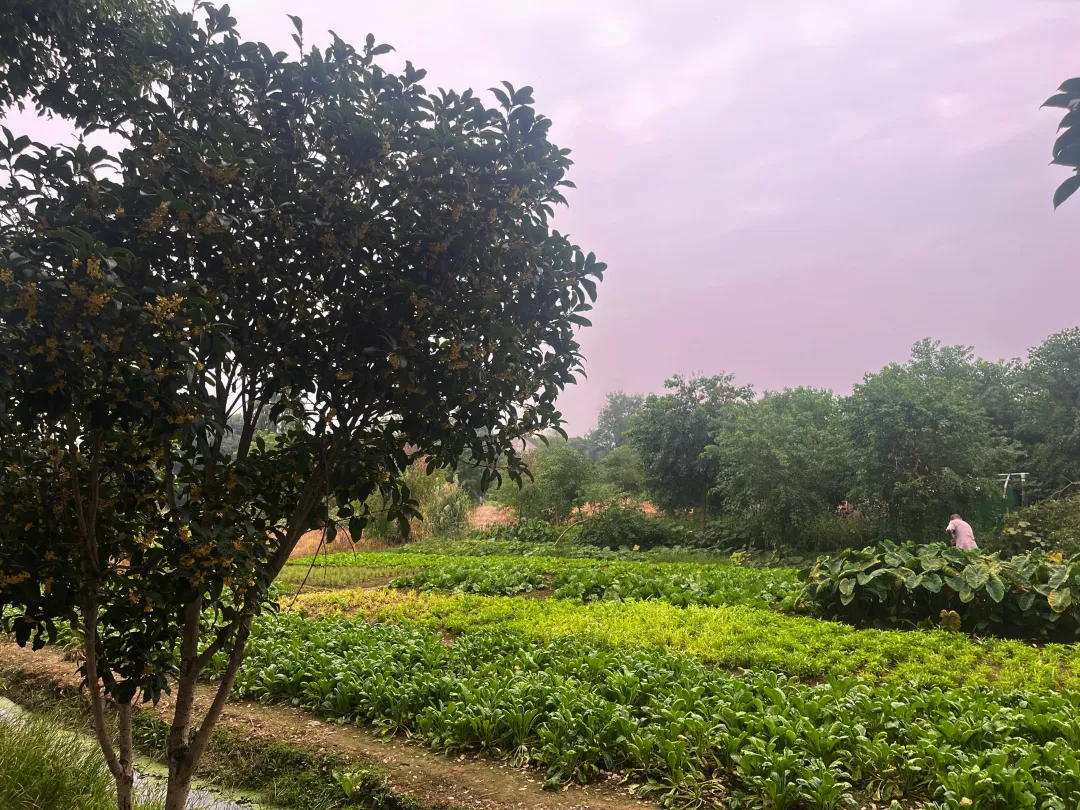 f36fbd2f6525fce3fa9649474babd3d1-sz_8638896 f36fbd2f6525fce3fa9649474babd3d1-sz_8638896