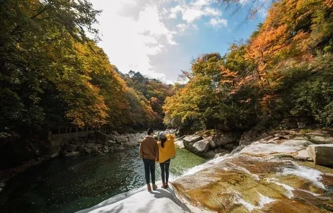 f3c65d7a92b51cfb7ec0a4459d433c4f-sz_84465-1