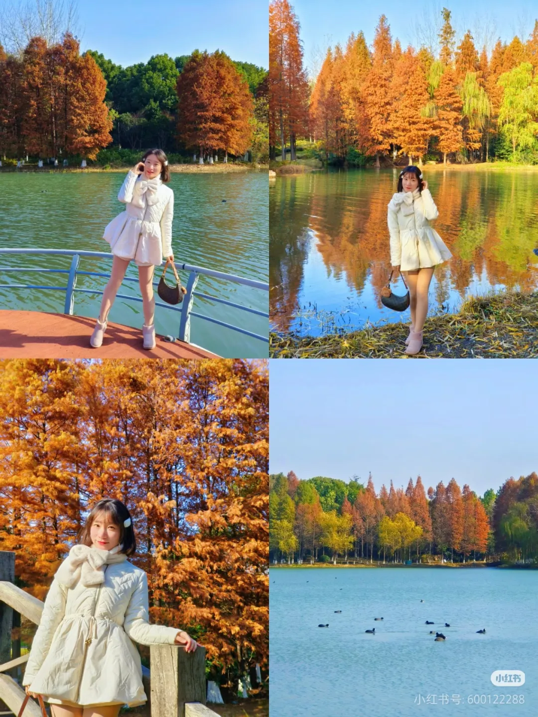 f3cd08bd3cdde5e222e63480cf15efb3-sz_1993930-1