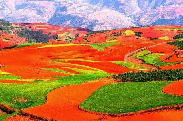 f448ba72a2cefef5de09d0328843a572-sz_93867 f448ba72a2cefef5de09d0328843a572-sz_93867