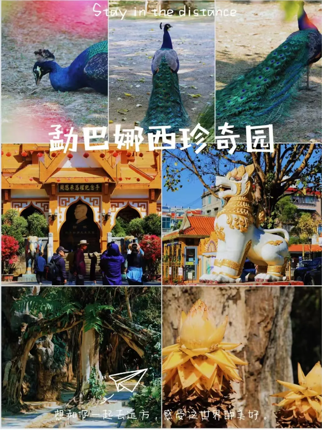 f4c9b4ec3ed7c018b0c2649a5dbb483a-sz_618732