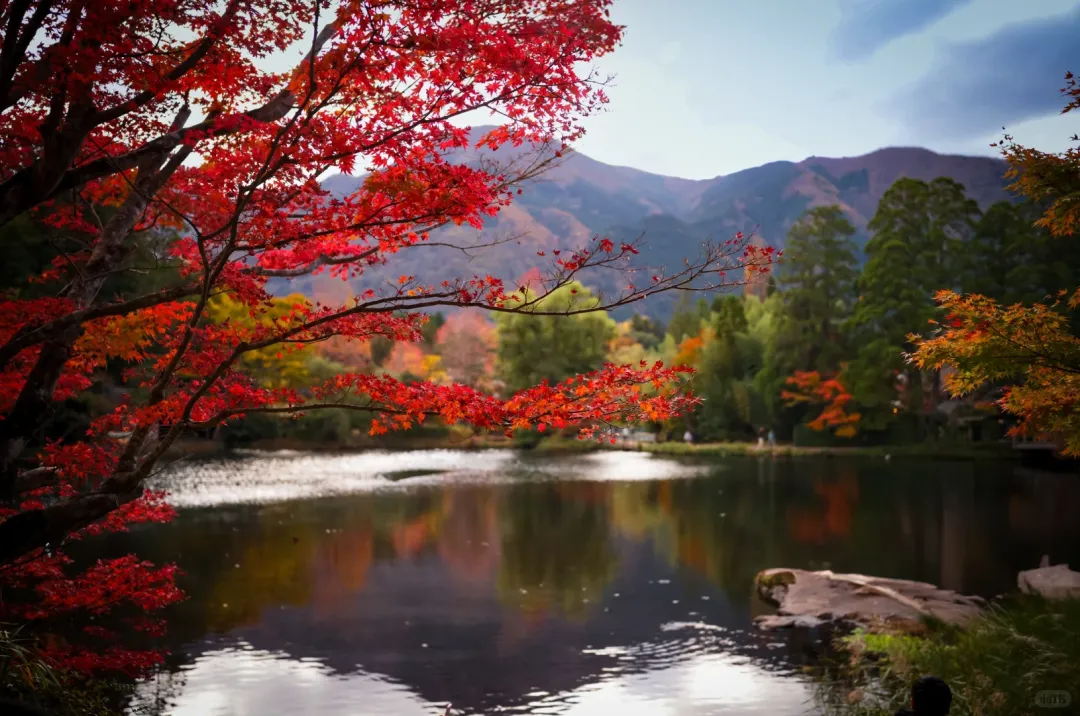 f51e63752b642693bb66aebfb62efdb2-sz_3566727-1 f51e63752b642693bb66aebfb62efdb2-sz_3566727-1