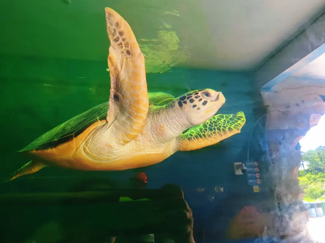 f556ac894d9ecf261dc9aa39cc4cbbb1-sz_1304510 f556ac894d9ecf261dc9aa39cc4cbbb1-sz_1304510