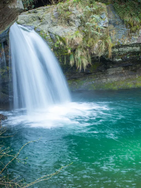 f577eb27041a85e9d57f4994bfda770e-sz_827888 f577eb27041a85e9d57f4994bfda770e-sz_827888