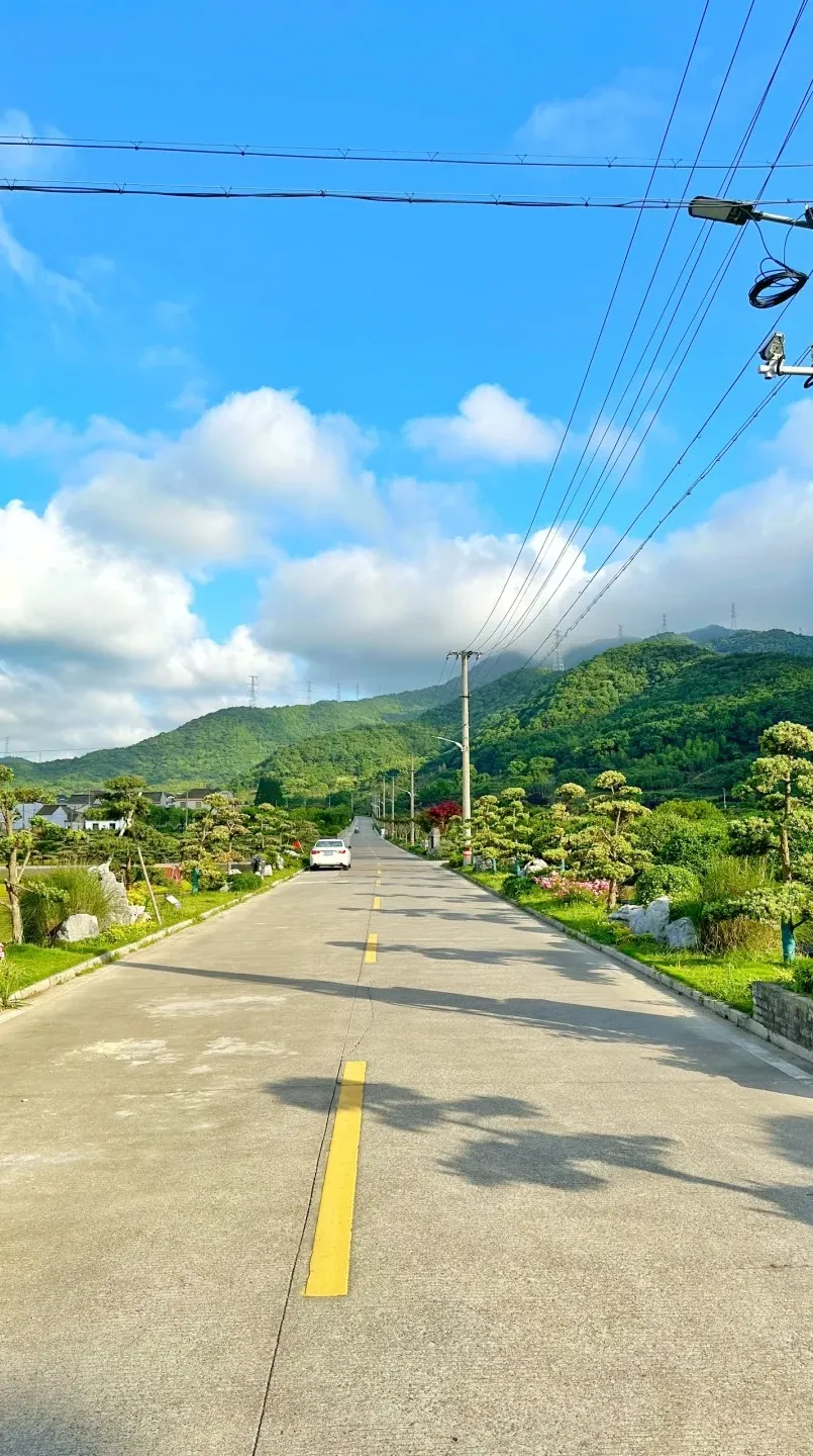 f57851c97263e0d07f0f1755b4389374-sz_515330