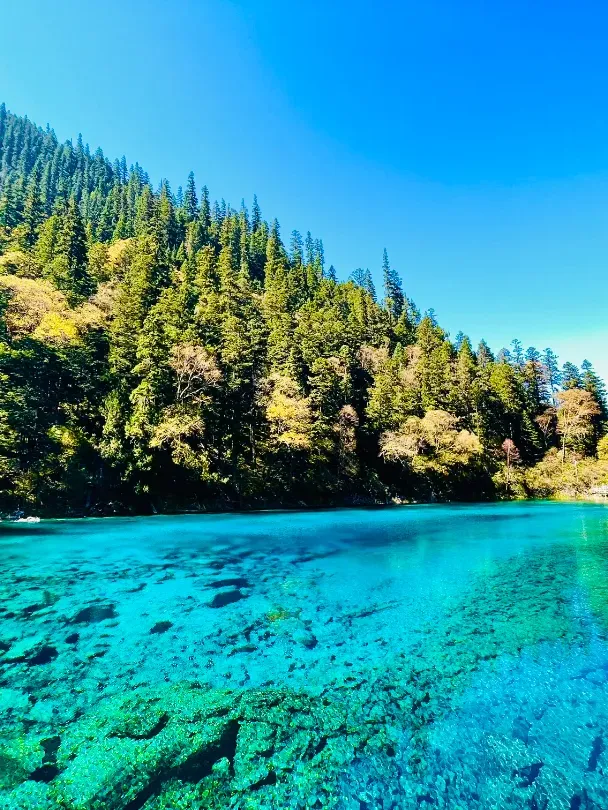 f590aa61679eaf51bd4f924b766914d0-sz_2068211-2 f590aa61679eaf51bd4f924b766914d0-sz_2068211-2