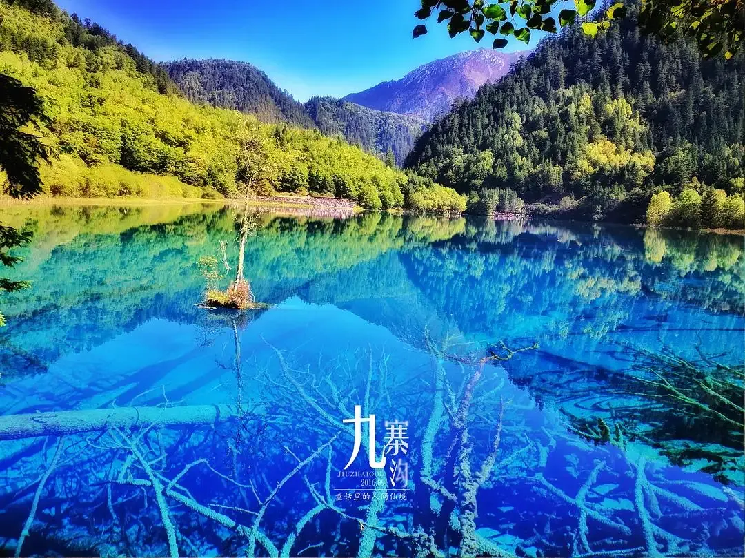 f629fae1cf9d7a84848f4f101ae5dff5-sz_2490299-1