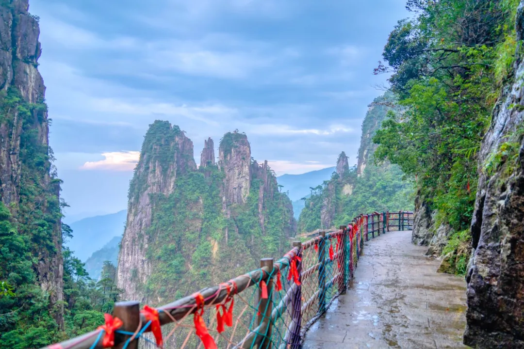 f6df67d6cece91fc0bc86c733b3cba8d-sz_335937-2 f6df67d6cece91fc0bc86c733b3cba8d-sz_335937-2