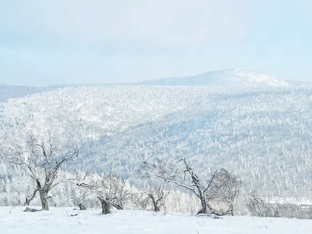 f7142a7c052f2bb28bd0c16cba958672-sz_1975454-1 f7142a7c052f2bb28bd0c16cba958672-sz_1975454-1