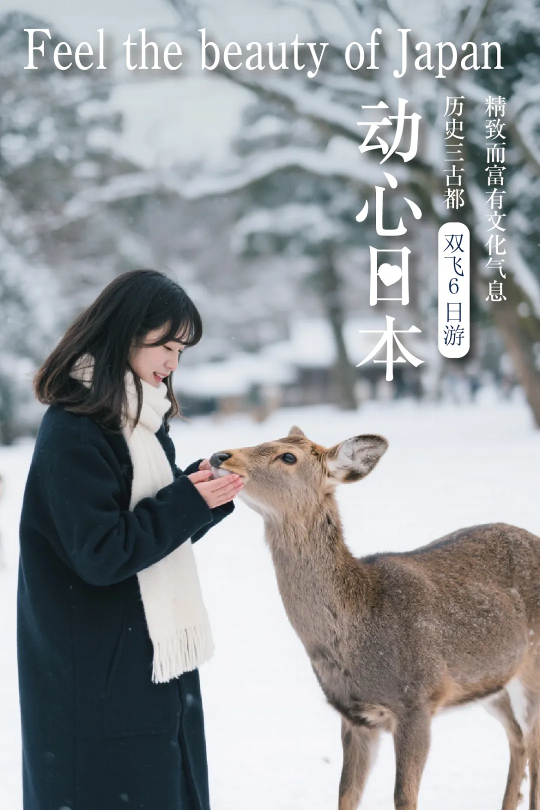 只需3999起！升级版冬春【动心日本Ⅱ】双飞6日游|奈良+京都+镰仓三古都巡礼|4晚3钻酒店|升级一晚5钻酒店·保证1晚温泉酒店