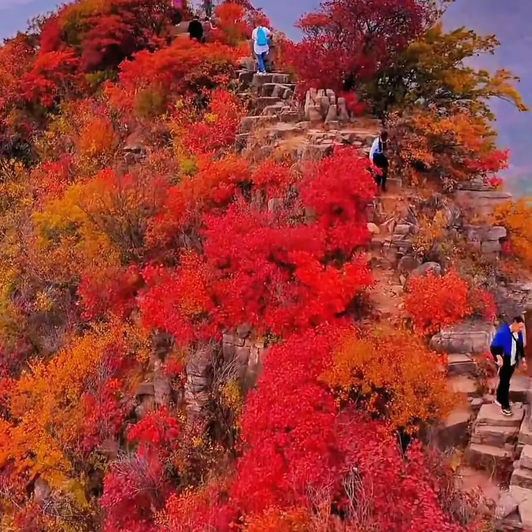 f86492a45a40201f832e61d5329ac831-sz_719619