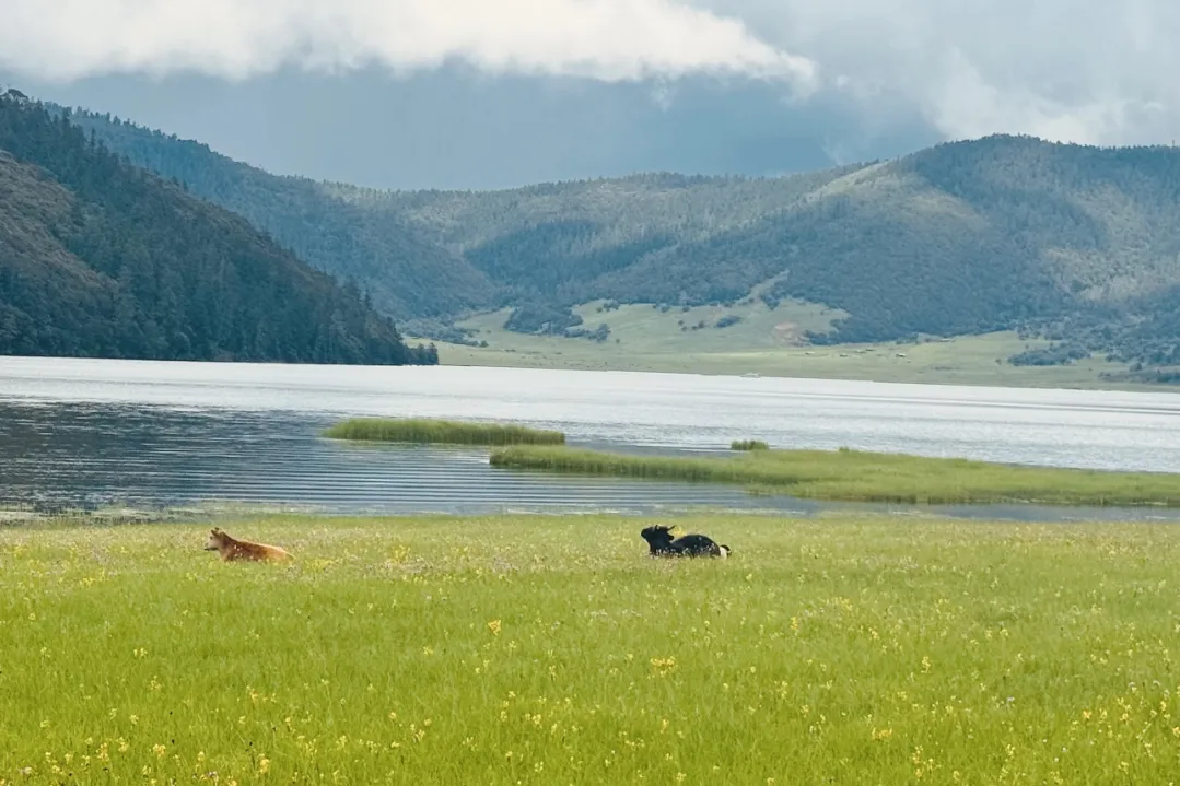 f87f5206af947c356becad1b1ac4fecb-sz_412177 f87f5206af947c356becad1b1ac4fecb-sz_412177