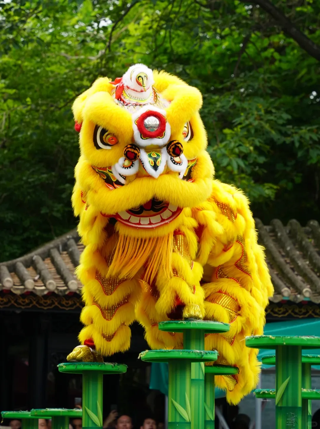 f8d9766f8152a37f165d527c10353ece-sz_4830455-1 f8d9766f8152a37f165d527c10353ece-sz_4830455-1