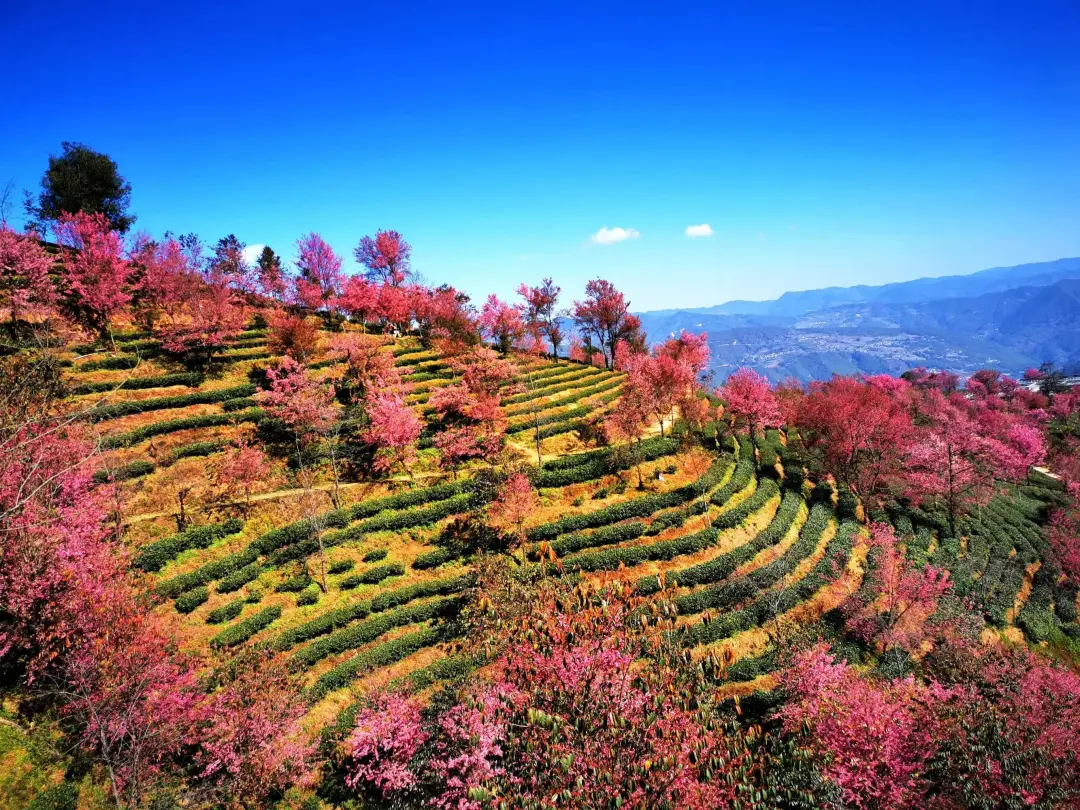 f8dc1151e2286ba6dfd3d85dca11207b-sz_1209427-1