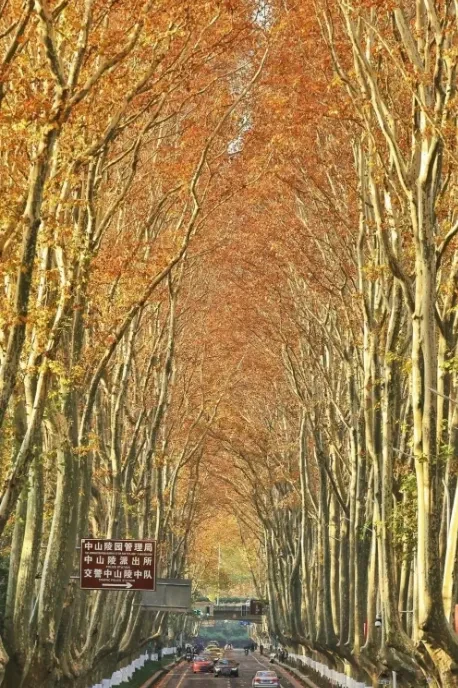 f9cbf0f13104864772d2e8746df21bd6-sz_913528 f9cbf0f13104864772d2e8746df21bd6-sz_913528