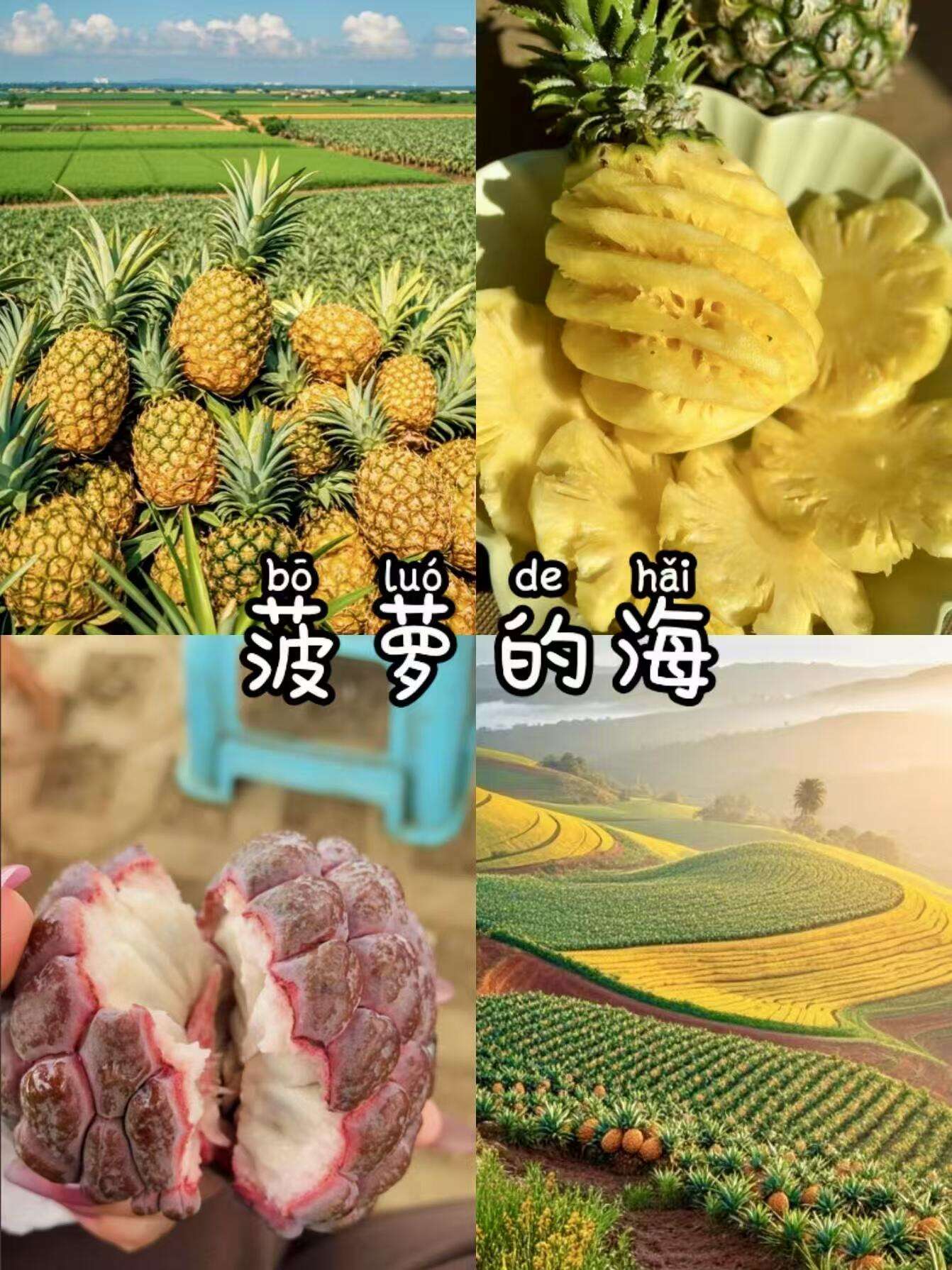 fXCVRbTJJjlpKqbu fXCVRbTJJjlpKqbu