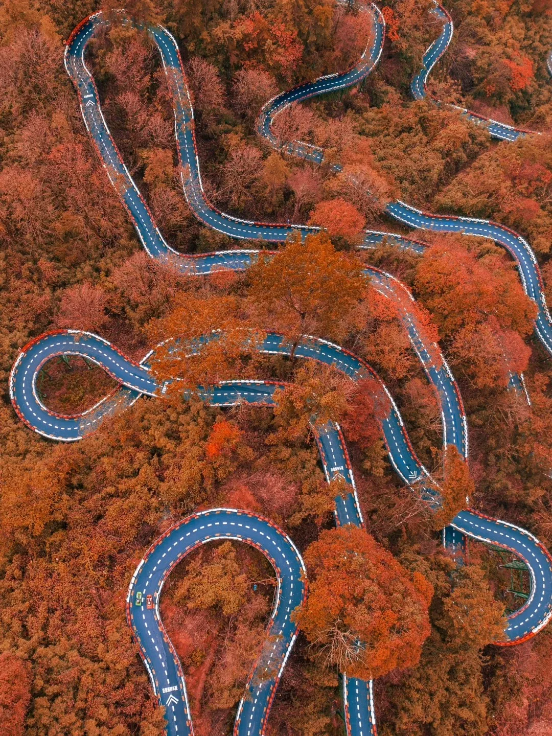 fa23bc9943869a360708411a35342800-sz_807718-1