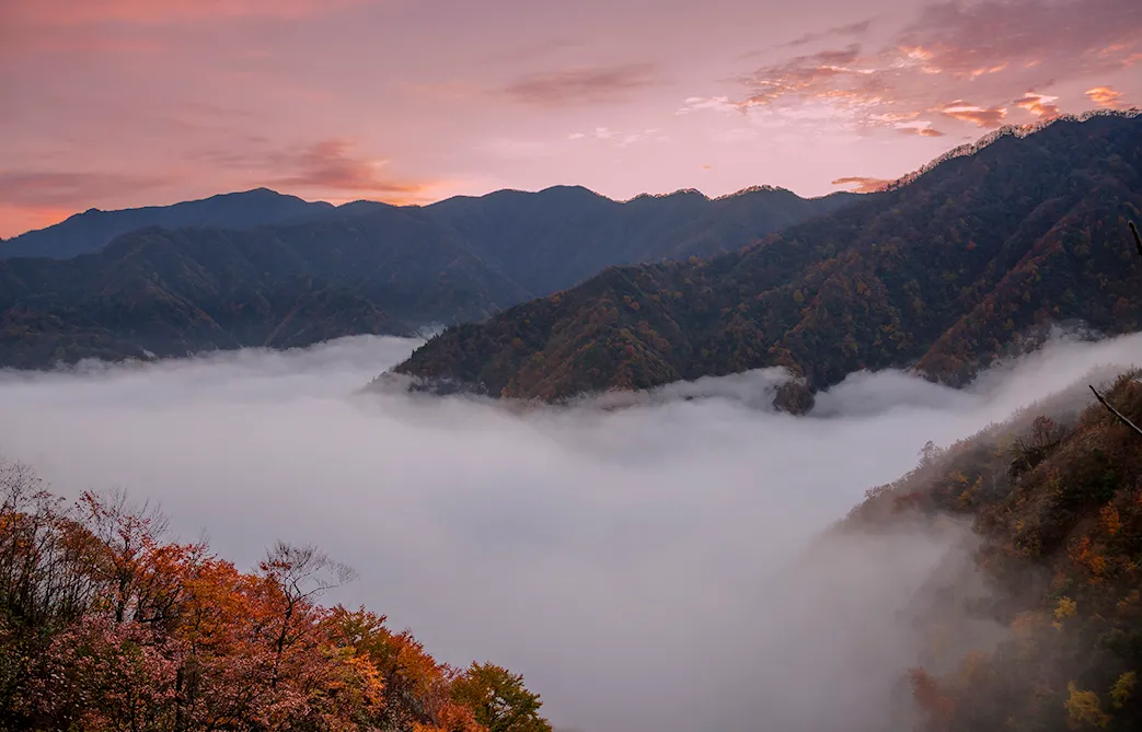 fa99f4a71bce3321514fdd7a60175656-sz_1003496-2