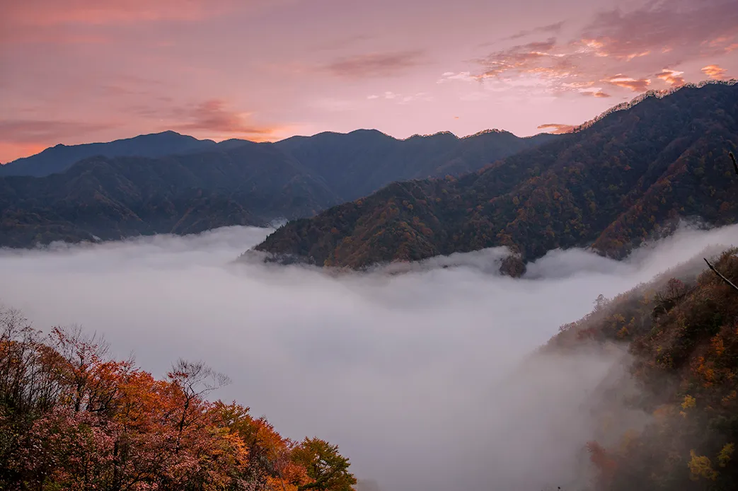 fa99f4a71bce3321514fdd7a60175656-sz_1003496