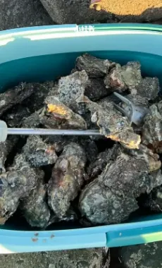 fbc595d8b3a4e08070ee02dff90635e1-sz_557394 fbc595d8b3a4e08070ee02dff90635e1-sz_557394