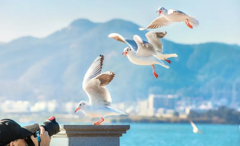 fbe622e2ea291e876fd10f72b8e5dce4-sz_37381-1 fbe622e2ea291e876fd10f72b8e5dce4-sz_37381-1