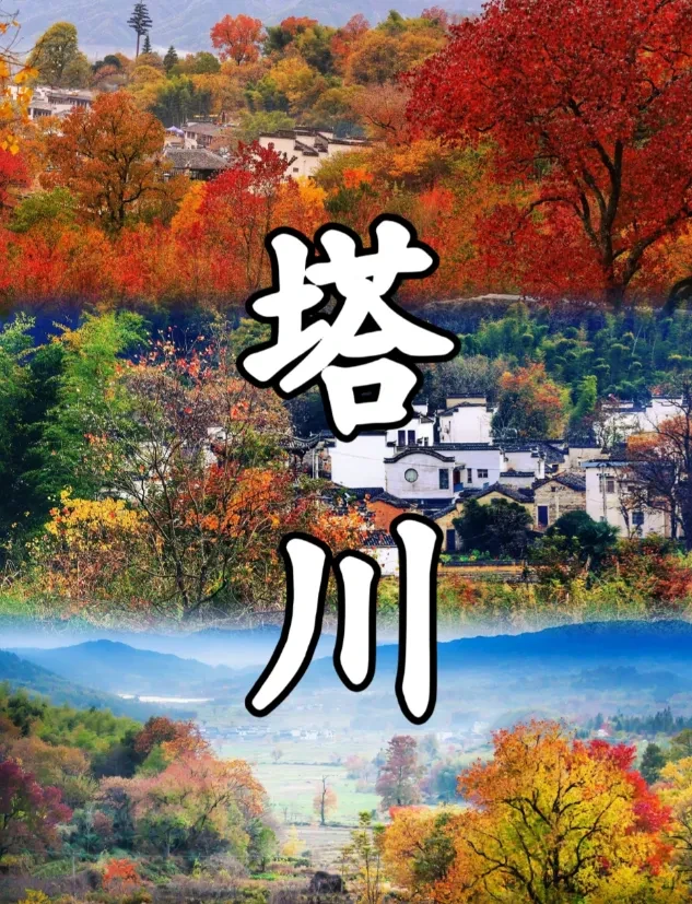 【五星荣逸❤泡温泉❤品蟹❤赏秋五日498元】住四晚72㎡山景豪华套房,含冰箱,洗衣机,泡黄山温泉,行摄塔川秋色,醉美落羽杉,船游容溪岛,体验《飞越黄山》,赏脱口秀演出,游天下第一湾,含6正4自助早