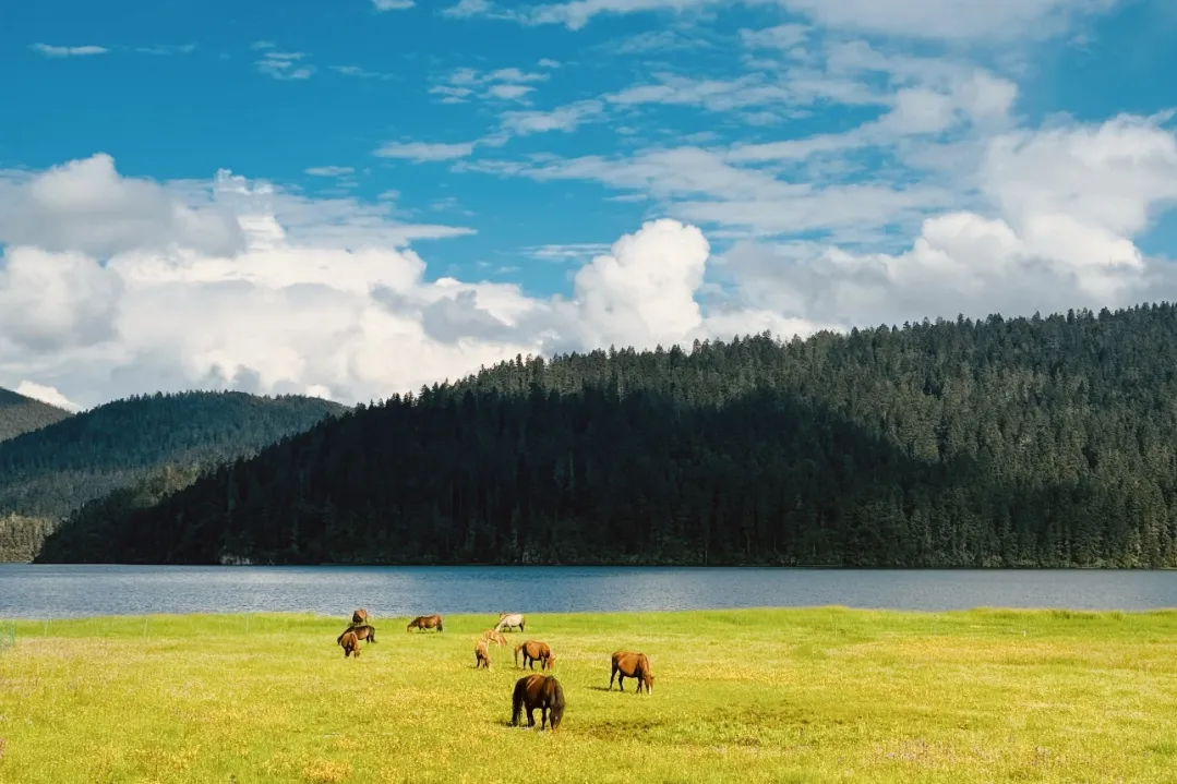 fc5224e9113d85c3d661bfdc8814f23f-sz_435121 fc5224e9113d85c3d661bfdc8814f23f-sz_435121