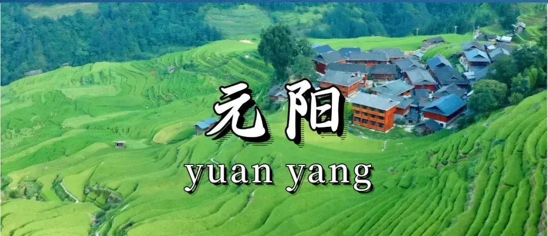 fc7041df56d939ea1bfec702b52cd567-sz_215742 fc7041df56d939ea1bfec702b52cd567-sz_215742