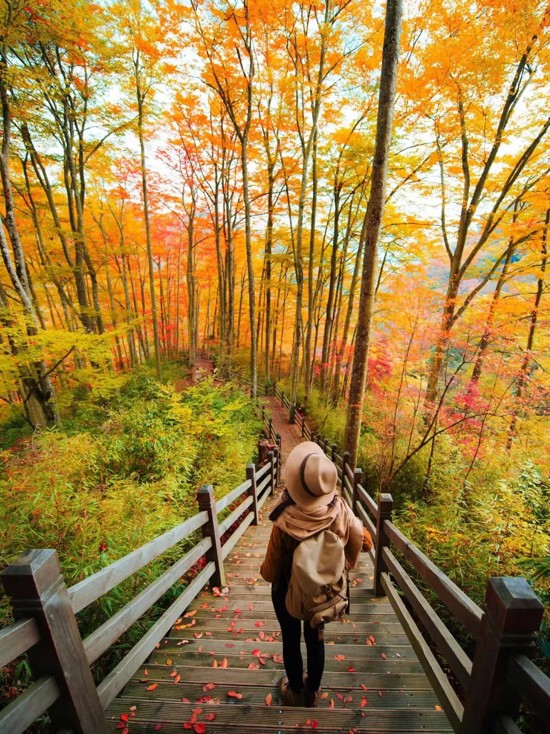 fca7f49626331fa5dc230d177f319efe-sz_702634-1 fca7f49626331fa5dc230d177f319efe-sz_702634-1