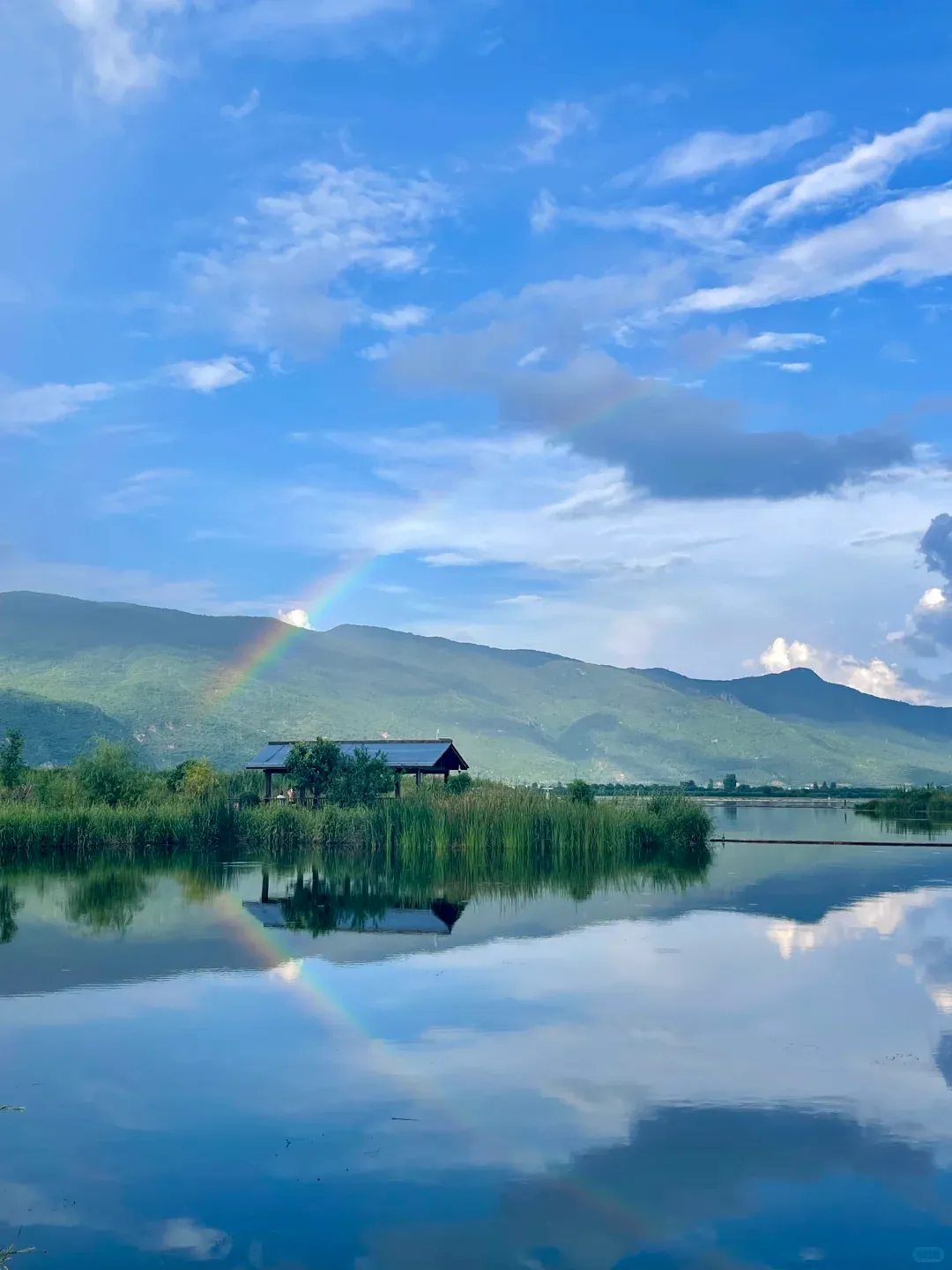 fcc43c1f67b7a3ba8d67437b381f58b6-sz_1585185 fcc43c1f67b7a3ba8d67437b381f58b6-sz_1585185