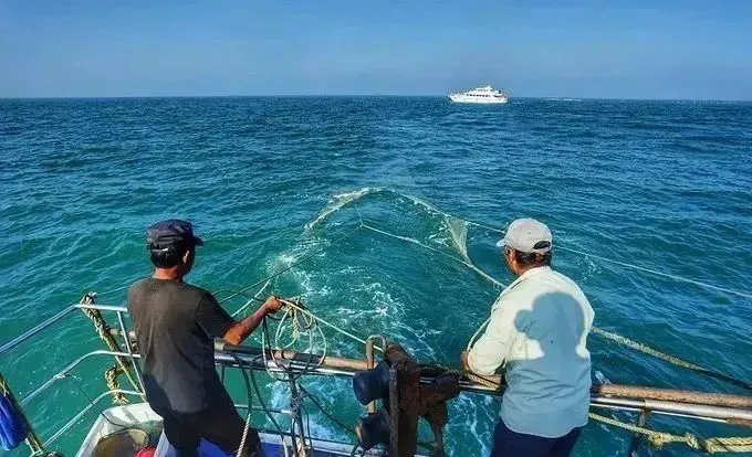 fcd15f0997512736c8be0bce9bee844e-sz_77836-1 fcd15f0997512736c8be0bce9bee844e-sz_77836-1