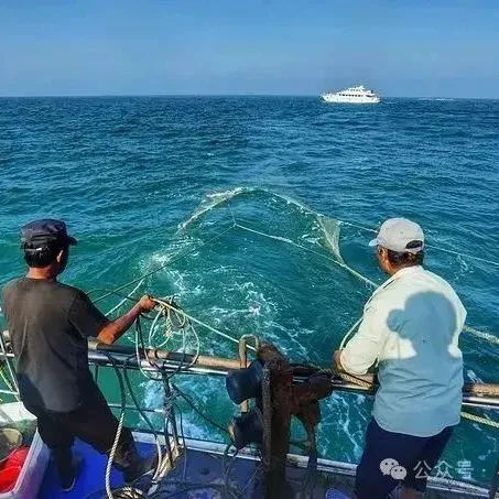 fcd15f0997512736c8be0bce9bee844e-sz_77836 fcd15f0997512736c8be0bce9bee844e-sz_77836