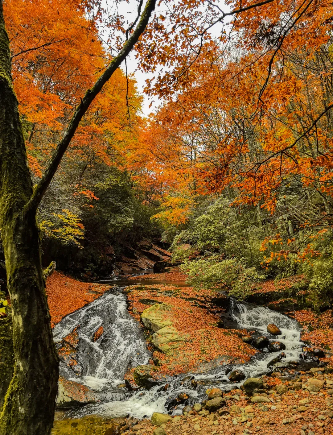 fce70112ca85725854ccff8e08fdba78-sz_4010923 fce70112ca85725854ccff8e08fdba78-sz_4010923