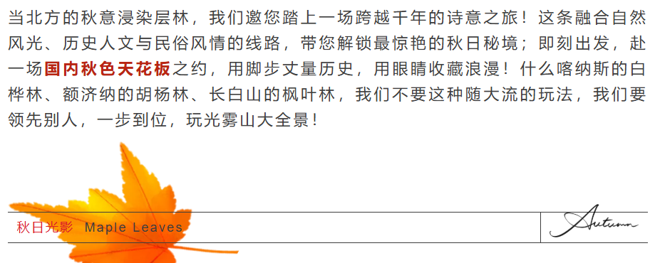 fd57f9a5e3f50297bfb4f9f0fb45dad3