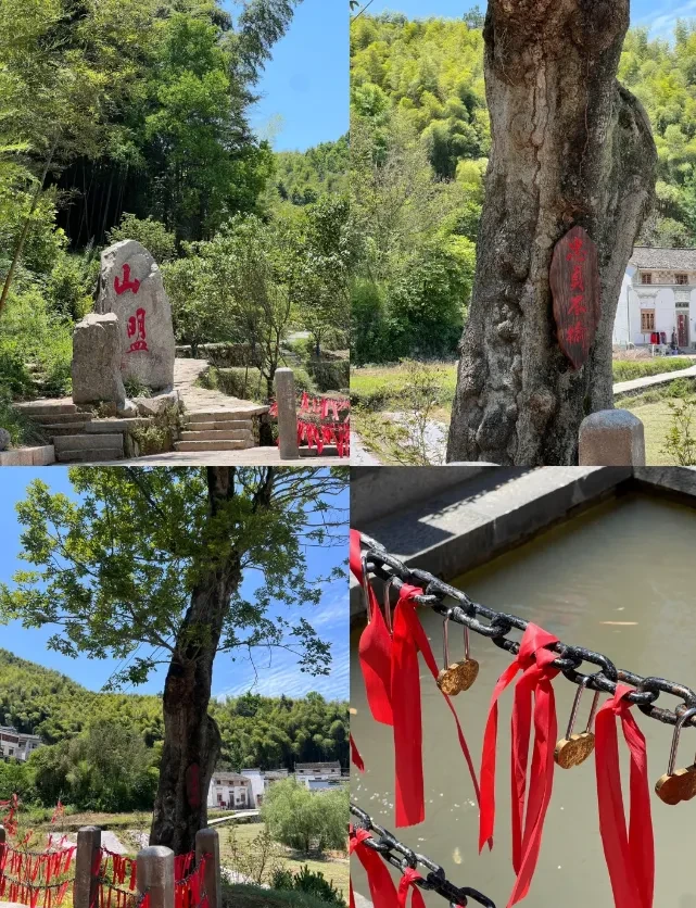 fd9fee9d62bc358eadf3a66564e1f8fb-sz_1568421 fd9fee9d62bc358eadf3a66564e1f8fb-sz_1568421