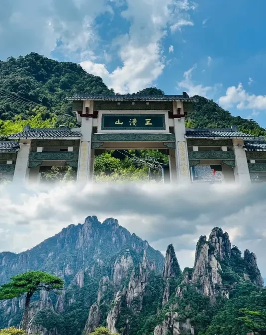 fdabe4ac11008b530b08a0d64e766b39-sz_917510